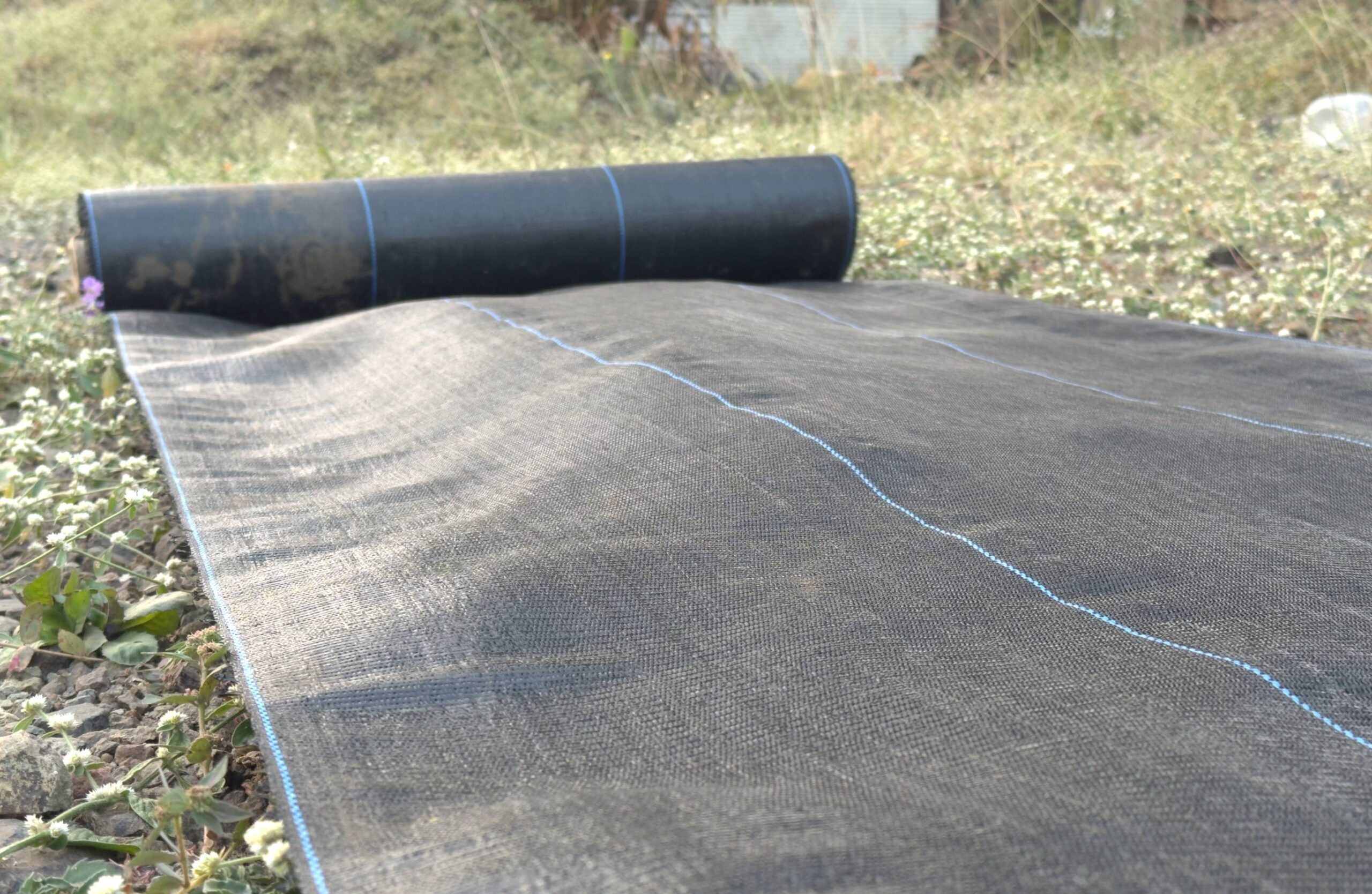 Steps To Prevent Weeds With Ground Cover